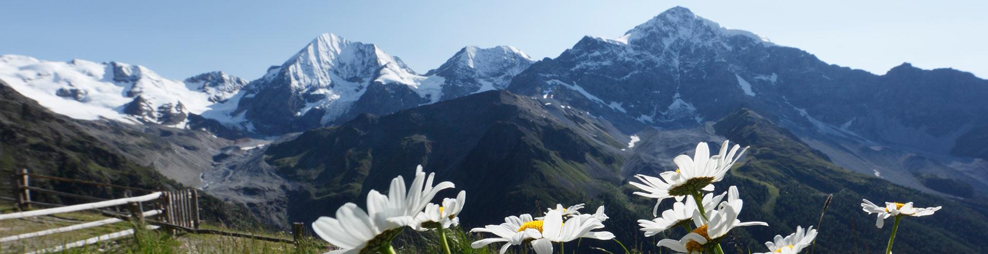 sommer-landschaft