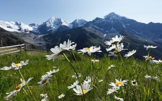 landschaft